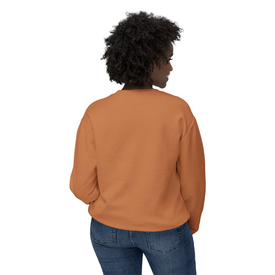 Adventure Awaits Unisex Lightweight Crewneck Sweatshirt - Airplane Design